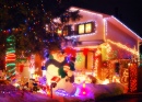 Taffy Lane