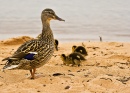 Mom and the Kids
