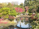 Katsura Imperial Gardens