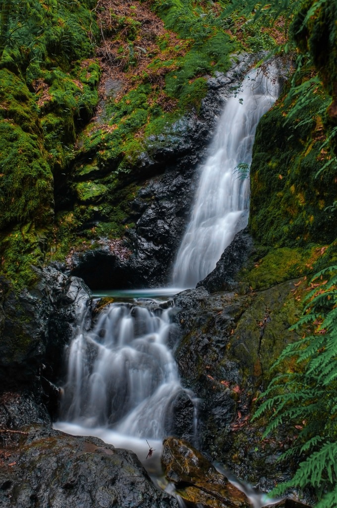 Uvas Canyon County Park jigsaw puzzle in Waterfalls puzzles on