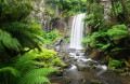 Hopetoun Falls, Otway NP, Australia