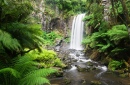 Hopetoun Falls, Otway NP, Australia