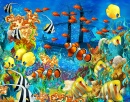 Récif de corail