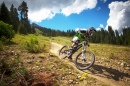 Crested Butte Downhill Trail