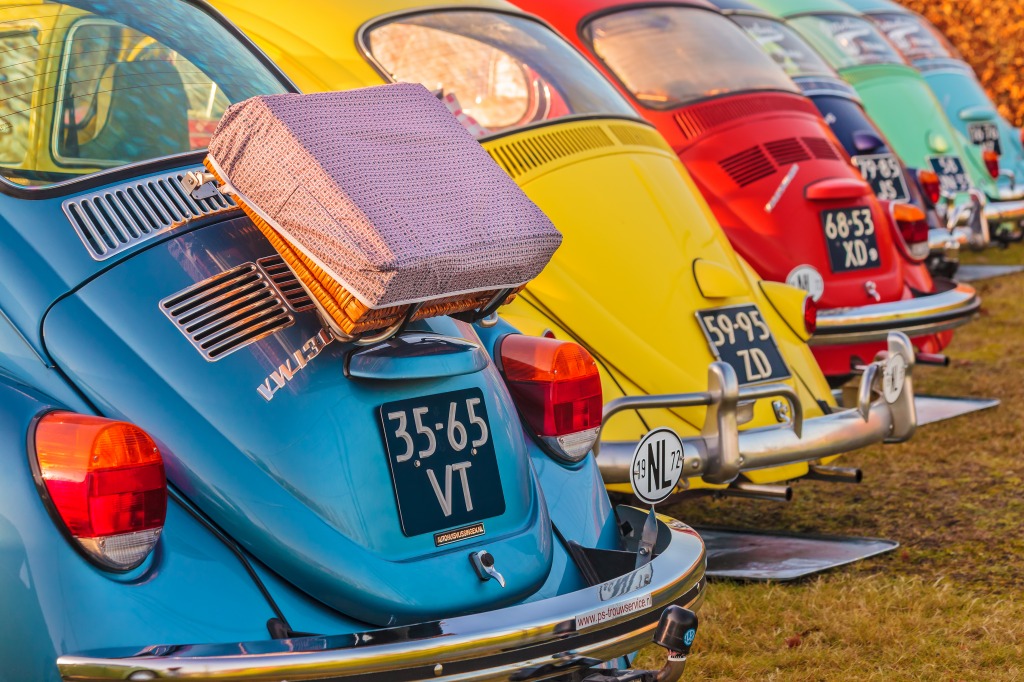 Vintage Volkswagen Beetles jigsaw puzzle in Cars & Bikes puzzles on