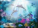 The Underwater World with Dolphins