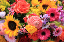 Bright Bouquet of Summer Flowers