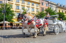 Horse Carriages in Krakow, Poland