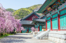Palais de Gyeongbokgung, Corée