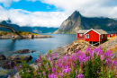 Рыбацкие дома на Лофотенских островах, Норвегия