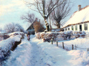 Winterscape with an Elderly Woman