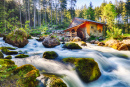Moulin à eau près de Salzbourg, Alpes de Golling