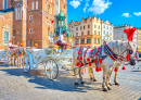 Horse Carriage in Krakow, Poland