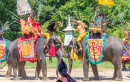 Elefantenshow in Nakhon Pathom, Thailand