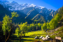 Долина Парвати, Гималайские горы