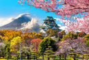 Замок в Осаке, гора Фудзи и цветение сакуры