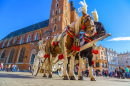 Horse Carriages in Krakow, Poland