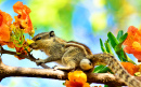 Flying Squirrel on a Blooming Tree