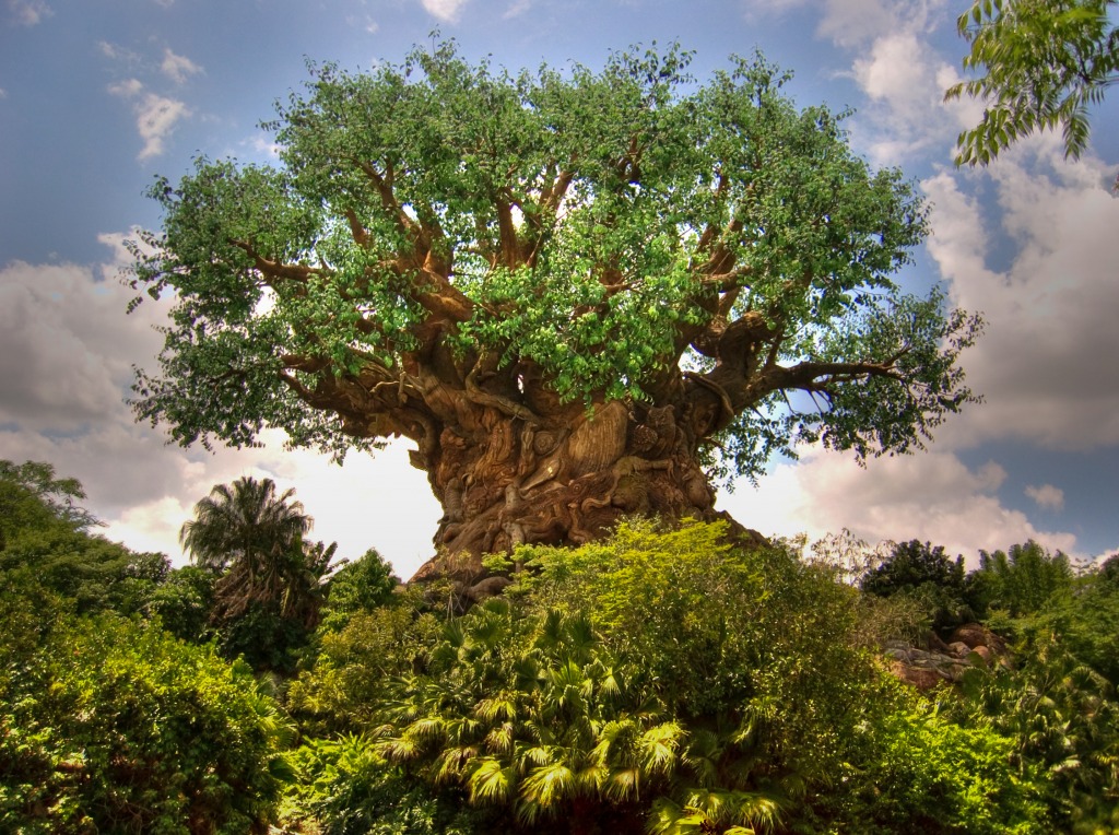 Tree of Life at Animal Kingdom jigsaw puzzle in Great Sightings puzzles