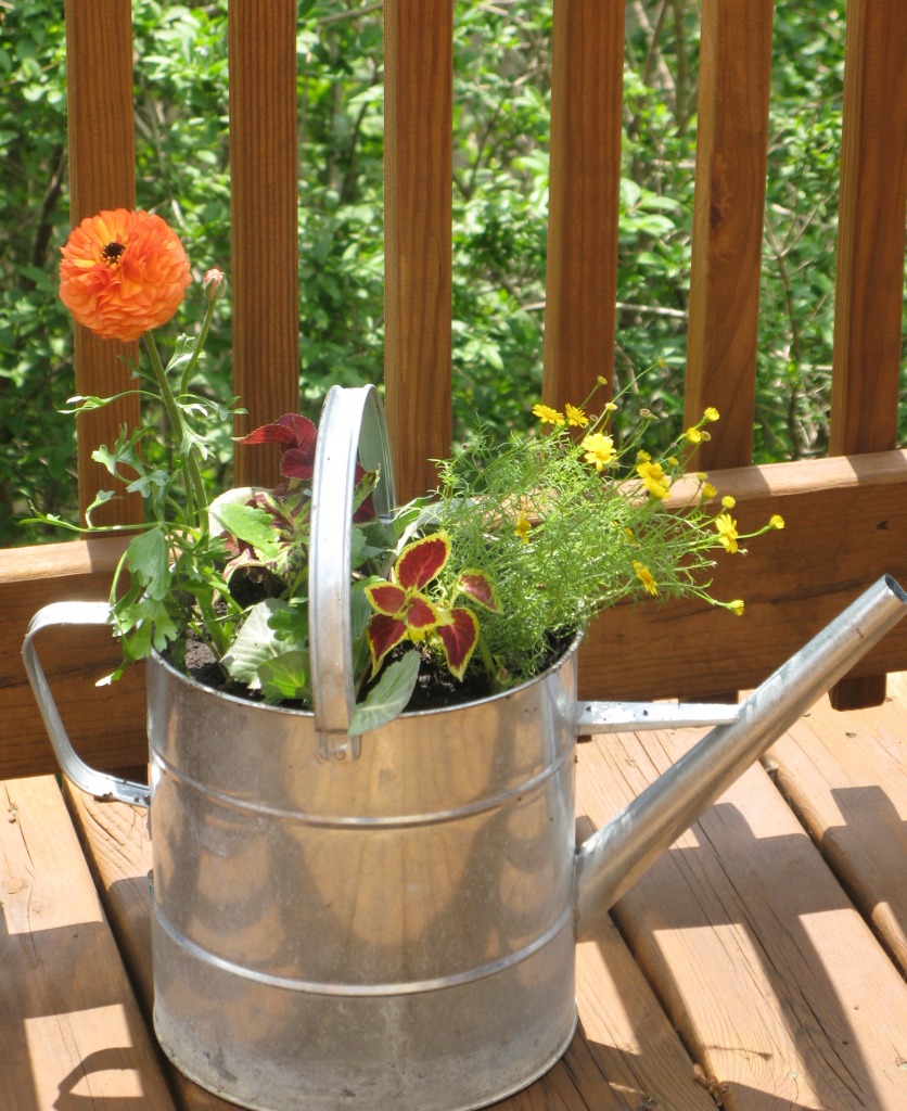 My Watering Can jigsaw puzzle in Puzzle of the Day puzzles on TheJigsawPuzzles.com