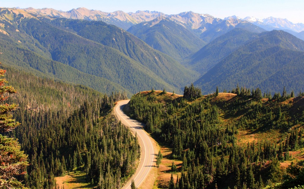Road to Hurricane Ridge jigsaw puzzle in Great Sightings puzzles on TheJigsawPuzzles.com