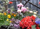 Flower Bench