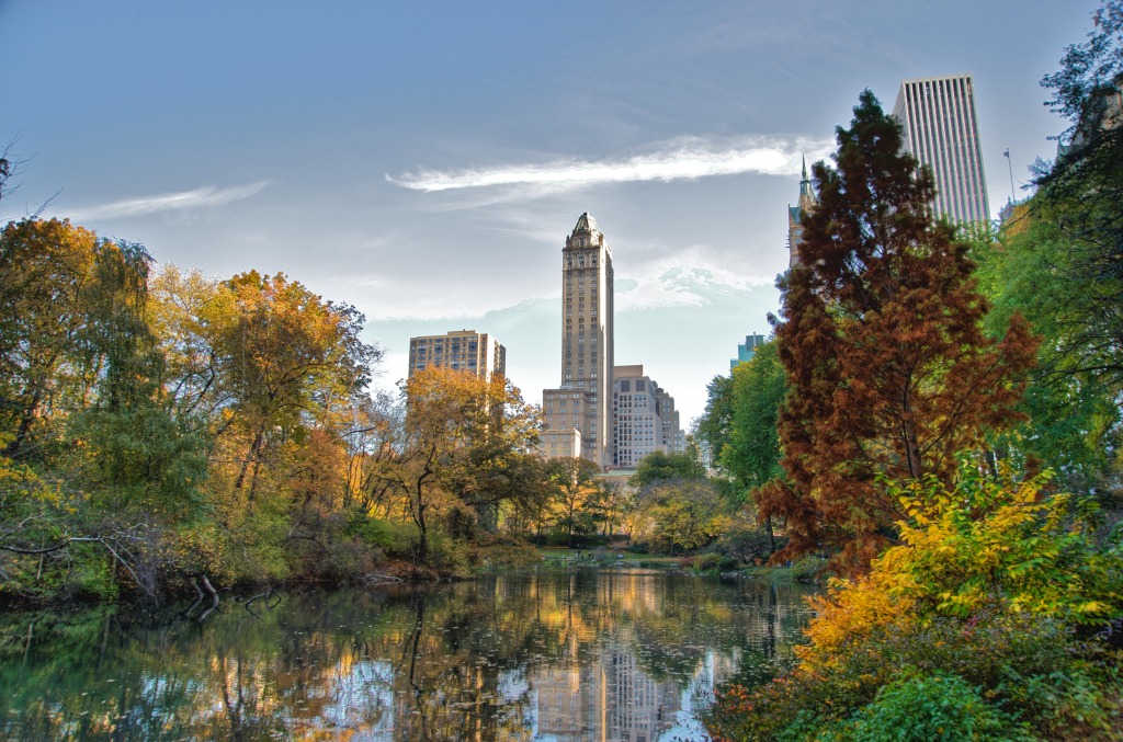 Central Park Foliage jigsaw puzzle in Great Sightings puzzles on TheJigsawPuzzles.com
