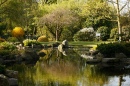 Kyoto Gardens, London