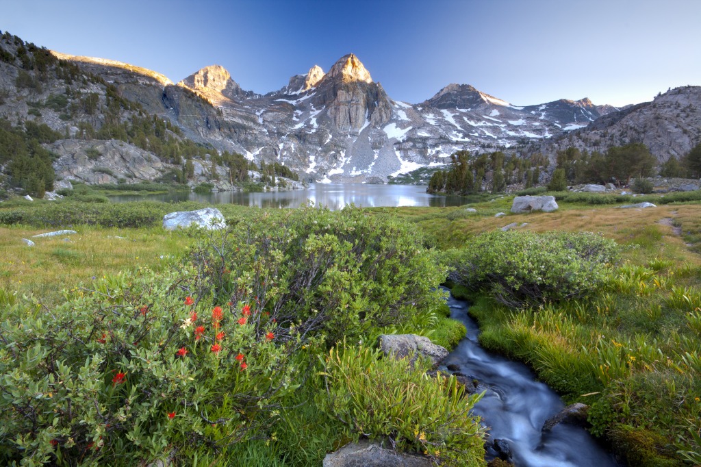 Painted Lady at Sunset jigsaw puzzle in Great Sightings puzzles on TheJigsawPuzzles.com