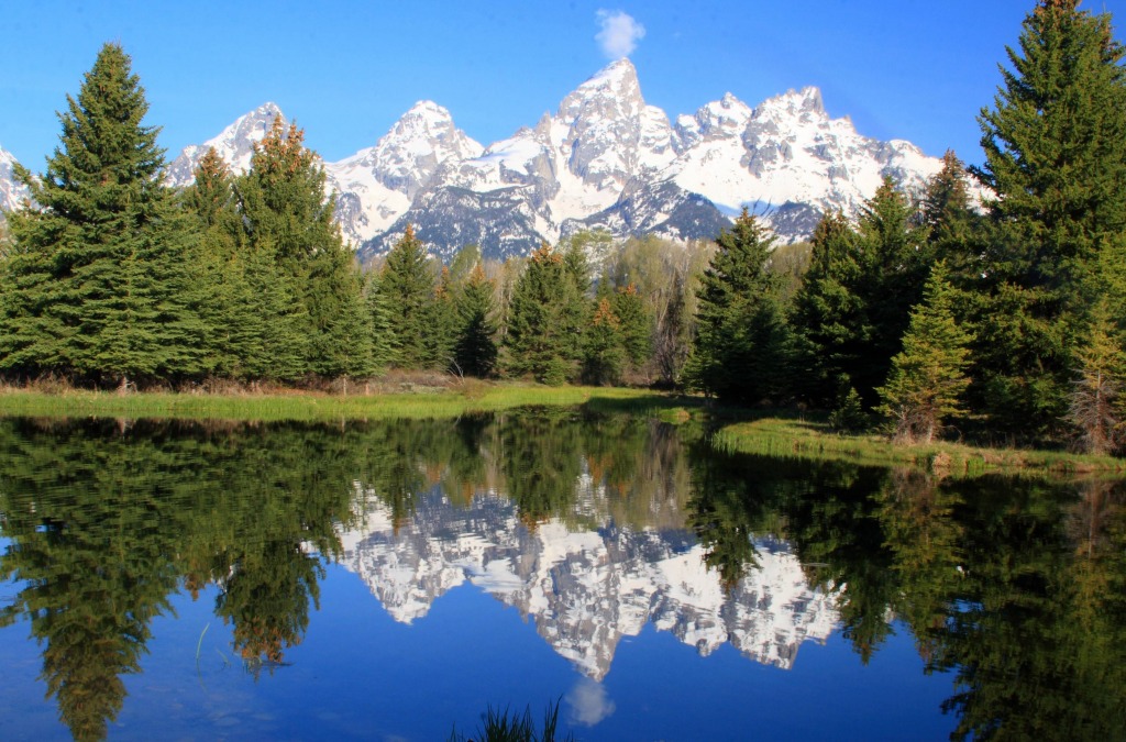 Reflection of the Grand Tetons jigsaw puzzle in Great Sightings puzzles on TheJigsawPuzzles.com