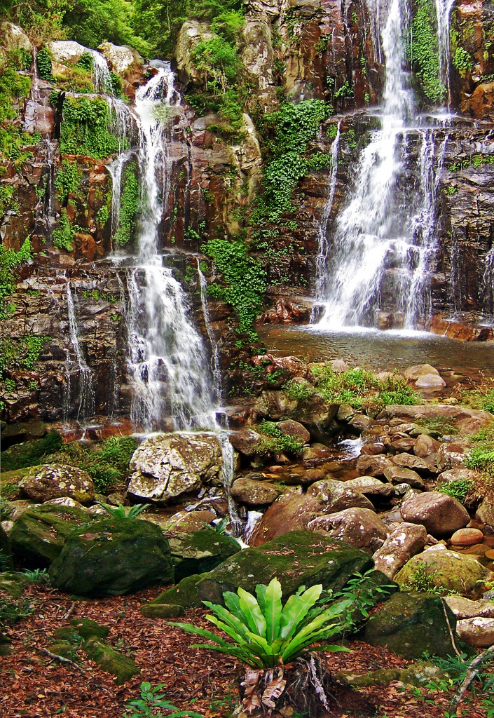 Floresta Tropical jigsaw puzzle in Cachoeiras puzzles on TheJigsawPuzzles.com