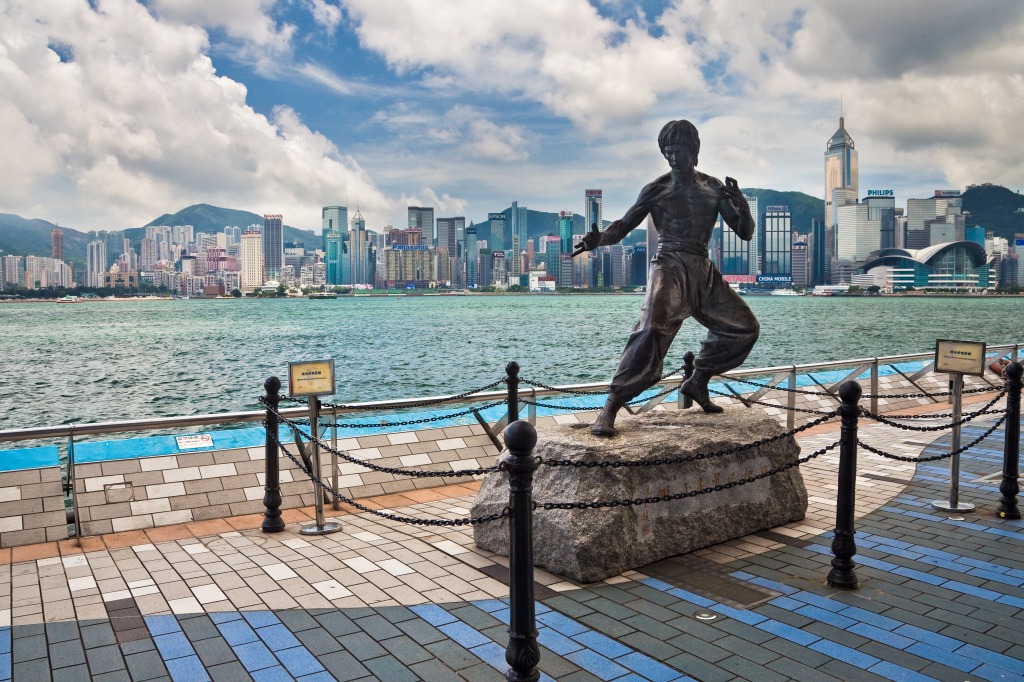 I Saw Bruce Lee! jigsaw puzzle in Street View puzzles on TheJigsawPuzzles.com