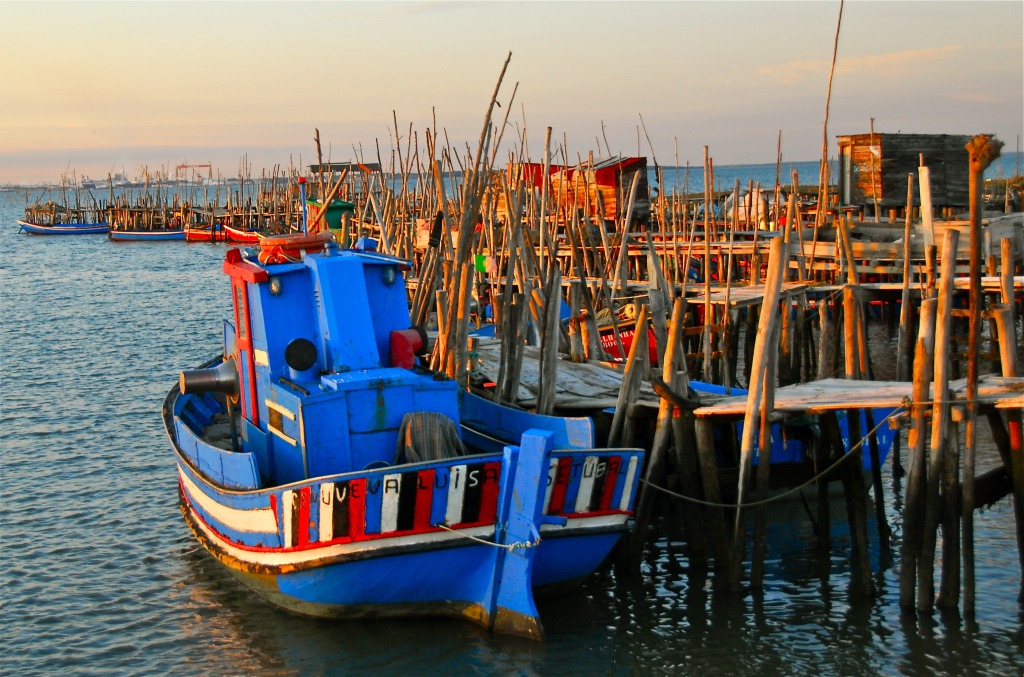 Carrasqueira Wood Pier, Portugal jigsaw puzzle in Great Sightings puzzles on TheJigsawPuzzles.com