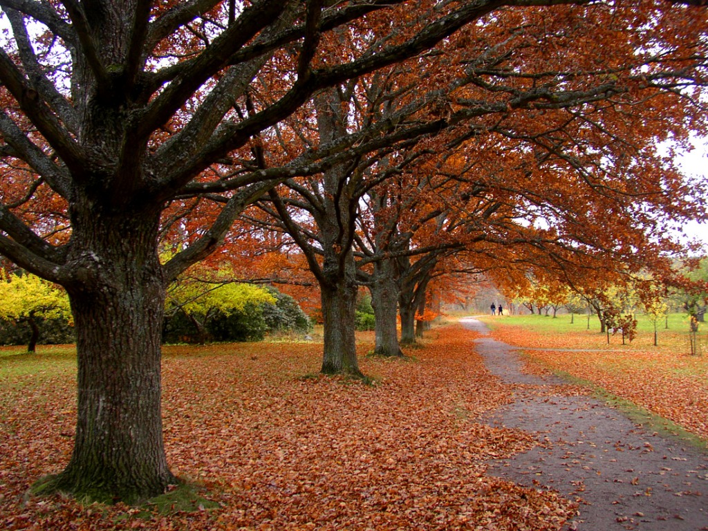 Falltime in the Park jigsaw puzzle in Great Sightings puzzles on TheJigsawPuzzles.com