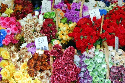 Kuala Lumpur, Malaysia jigsaw puzzle in Flowers puzzles on ...