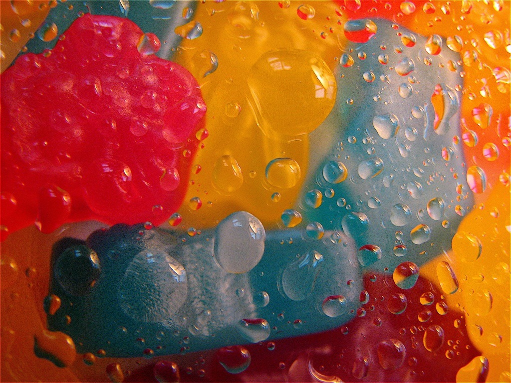 Bright Colors jigsaw puzzle in Macro puzzles on TheJigsawPuzzles.com