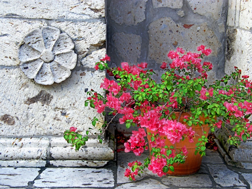Stone Flowers jigsaw puzzle in Flowers puzzles on TheJigsawPuzzles.com