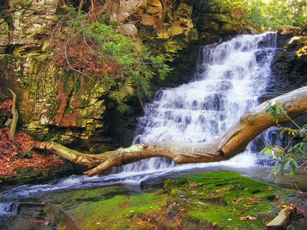 Descend jigsaw puzzle in Waterfalls puzzles on TheJigsawPuzzles.com