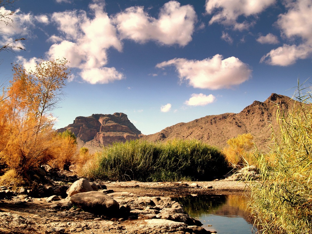 Salt River Country - Arizona jigsaw puzzle in Great Sightings puzzles on TheJigsawPuzzles.com