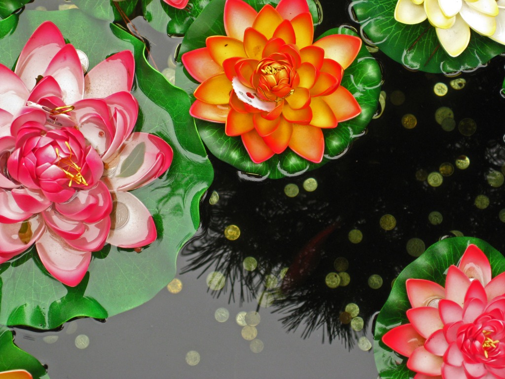Water Lily jigsaw puzzle in Puzzle of the Day puzzles on TheJigsawPuzzles.com