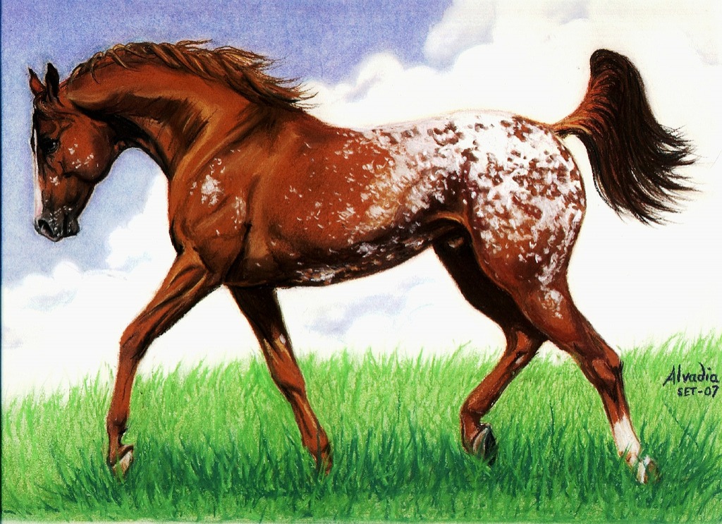 Appaloosa jigsaw puzzle in Chefs d'oeuvres puzzles on TheJigsawPuzzles.com