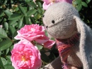 Stopping to Smell the Roses