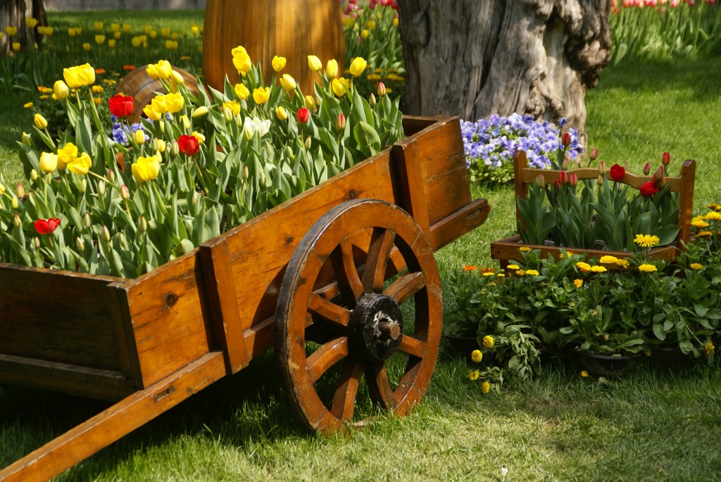 Flowers Growing out of Cart jigsaw puzzle in Flowers puzzles on TheJigsawPuzzles.com