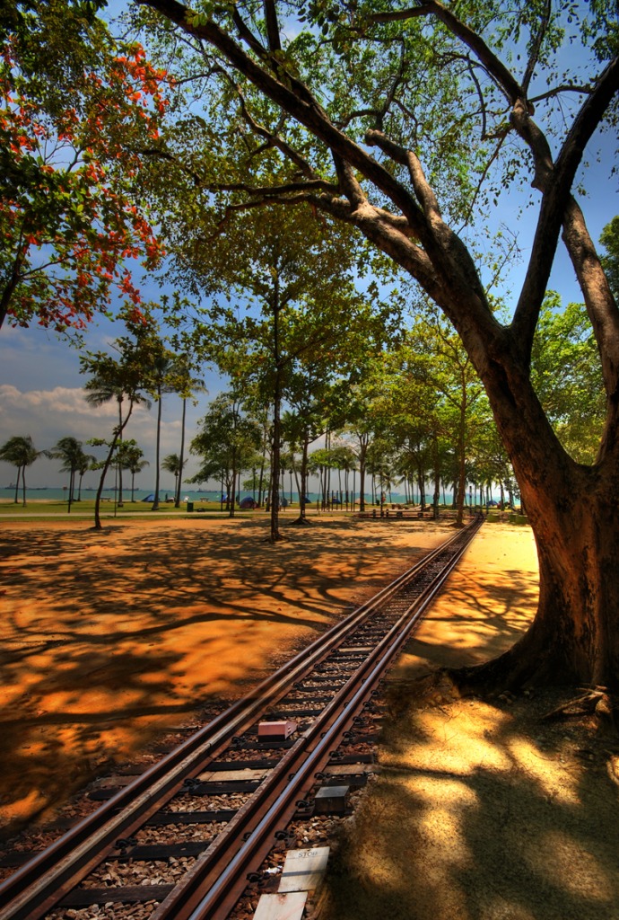 East Coast of Singapore jigsaw puzzle in Пазл дня puzzles on TheJigsawPuzzles.com