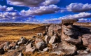 Arizona High Desert Plateau