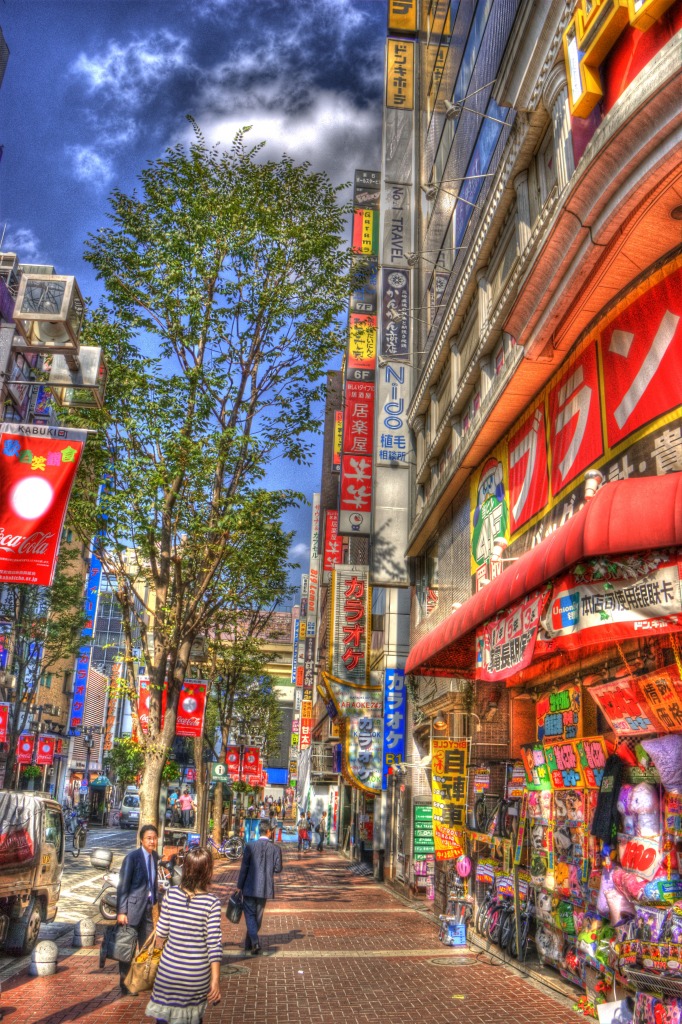 Tokyo jigsaw puzzle in Street View puzzles on TheJigsawPuzzles.com