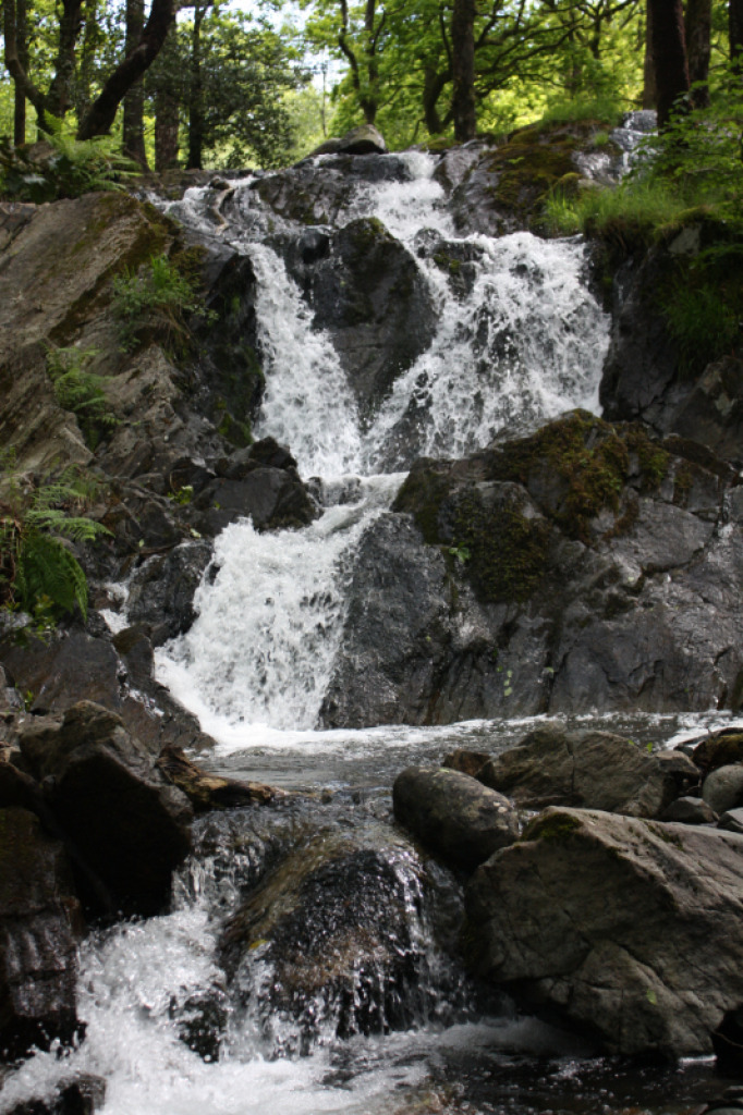 Waterfall at Tom Gill jigsaw puzzle in Derek Corner puzzles on TheJigsawPuzzles.com
