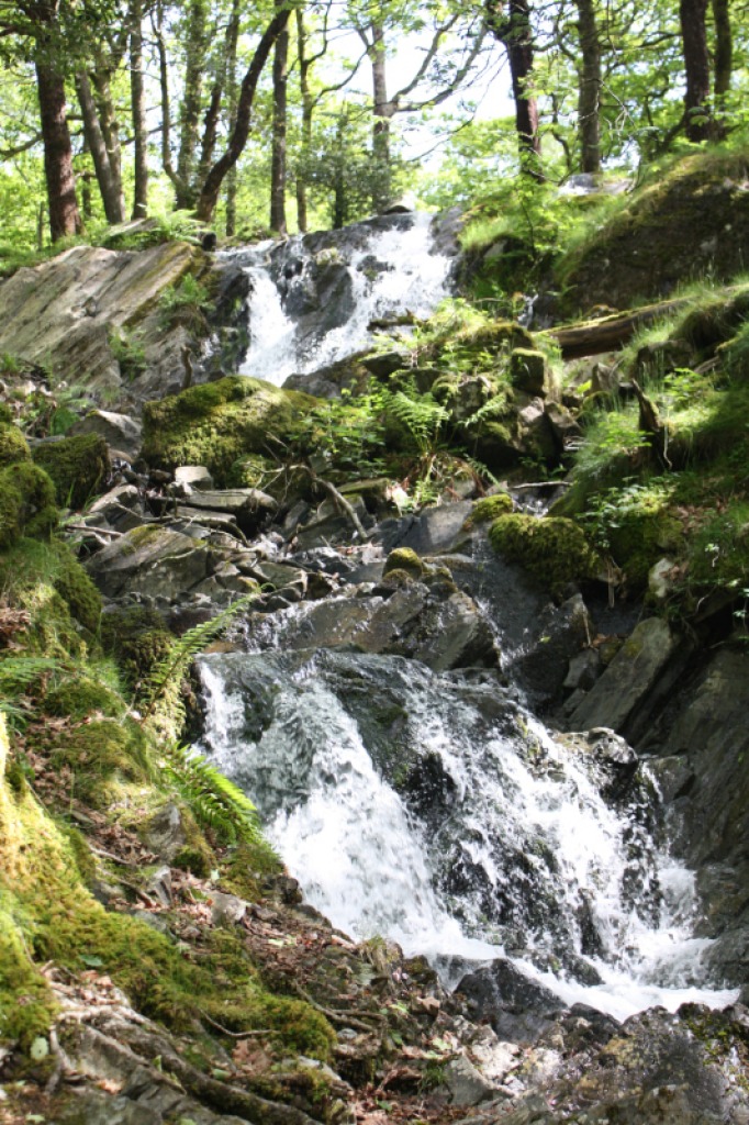 Tom Gill Waterfall jigsaw puzzle in Derek Corner puzzles on TheJigsawPuzzles.com