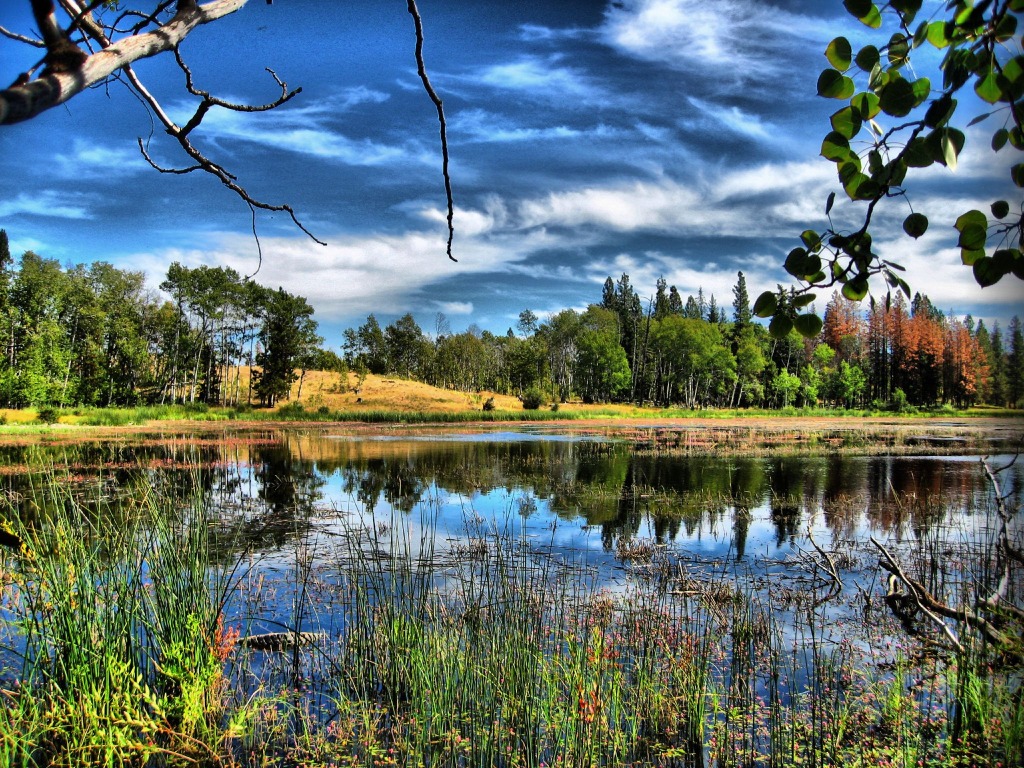 My Special Lake jigsaw puzzle in Пазл дня puzzles on TheJigsawPuzzles.com