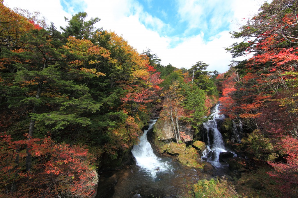 Ryüzu-no-taki Wasserfall, Japan jigsaw puzzle in Wasserfälle puzzles on TheJigsawPuzzles.com